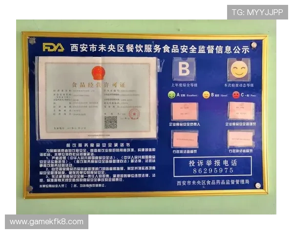 凯发三公安全保障措施，确保玩家资金与个人信息安全的全面措施