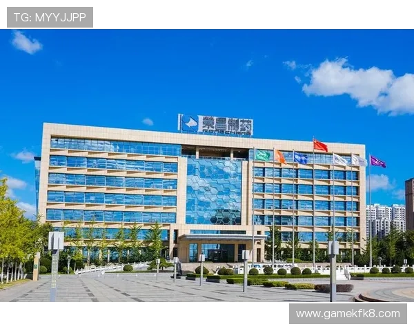 凯发集团网站安全保障措施详解，确保每位玩家的资金与信息安全